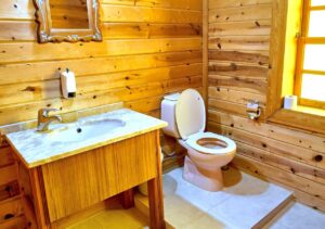 Acide chlorhydrique WC  : Les dangers à connaître avant de l’utiliser